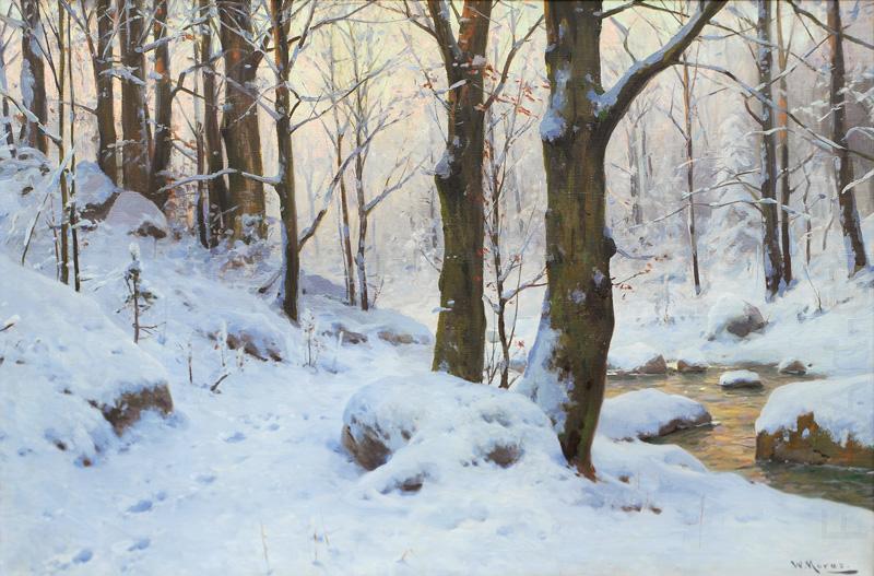 Bachlauf im Winterwald., Walter Moras